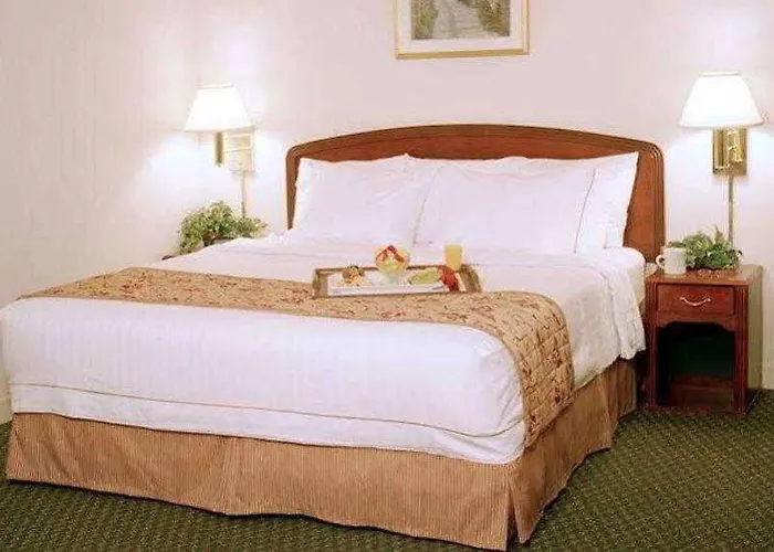Hotel Courtyard By Marriott Mall Of America 3*