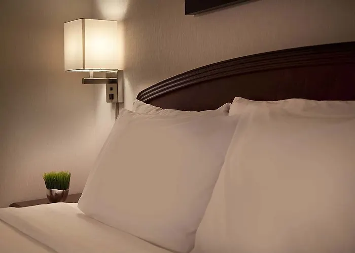 Courtyard By Marriott Mall Of America 3* Bloomington